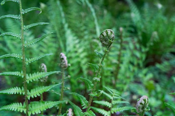 Comment trouver des séjours en ferme pédagogique en Italie?